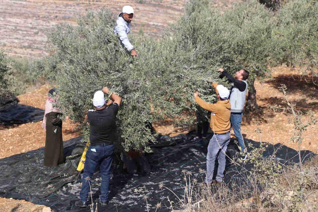 Agricultural development association parc